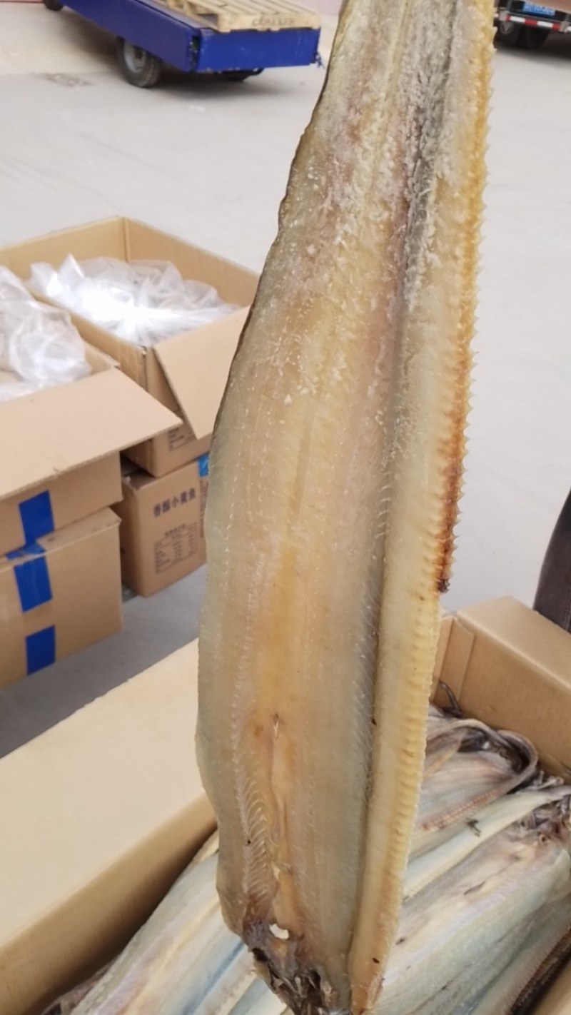 【推荐】鳗鱼干肉质鲜嫩