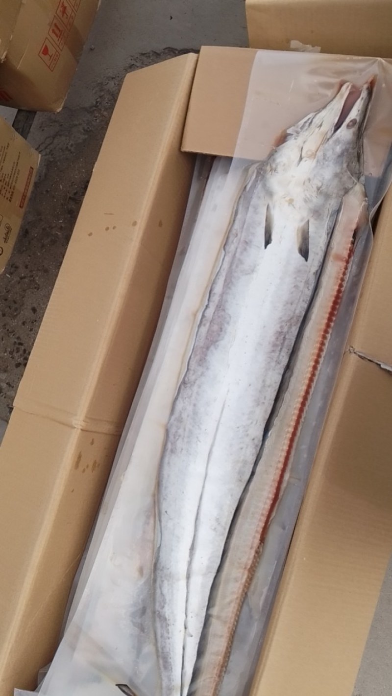 【推荐】鳗鱼干肉质鲜嫩