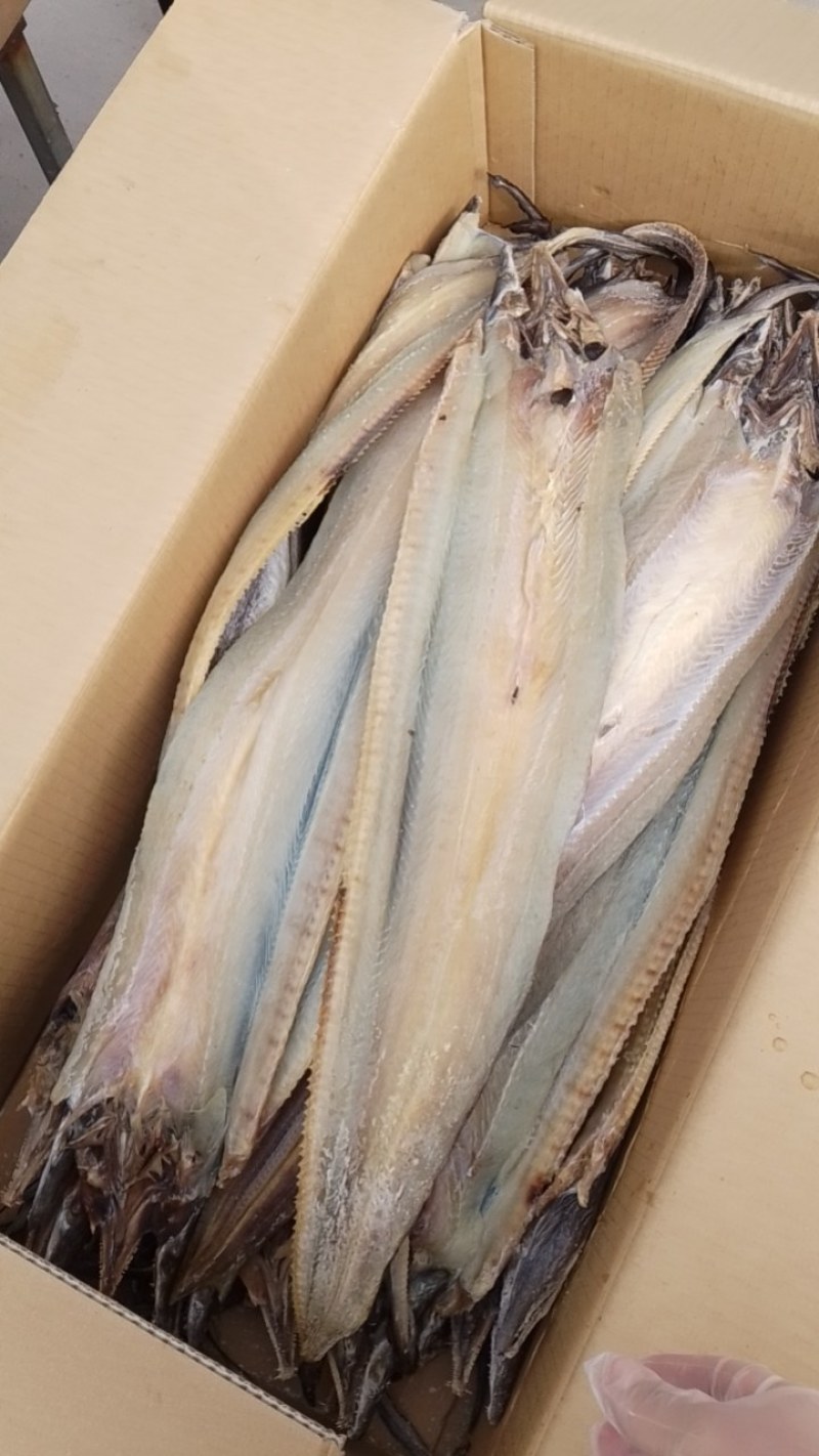 【推荐】鳗鱼干肉质鲜嫩