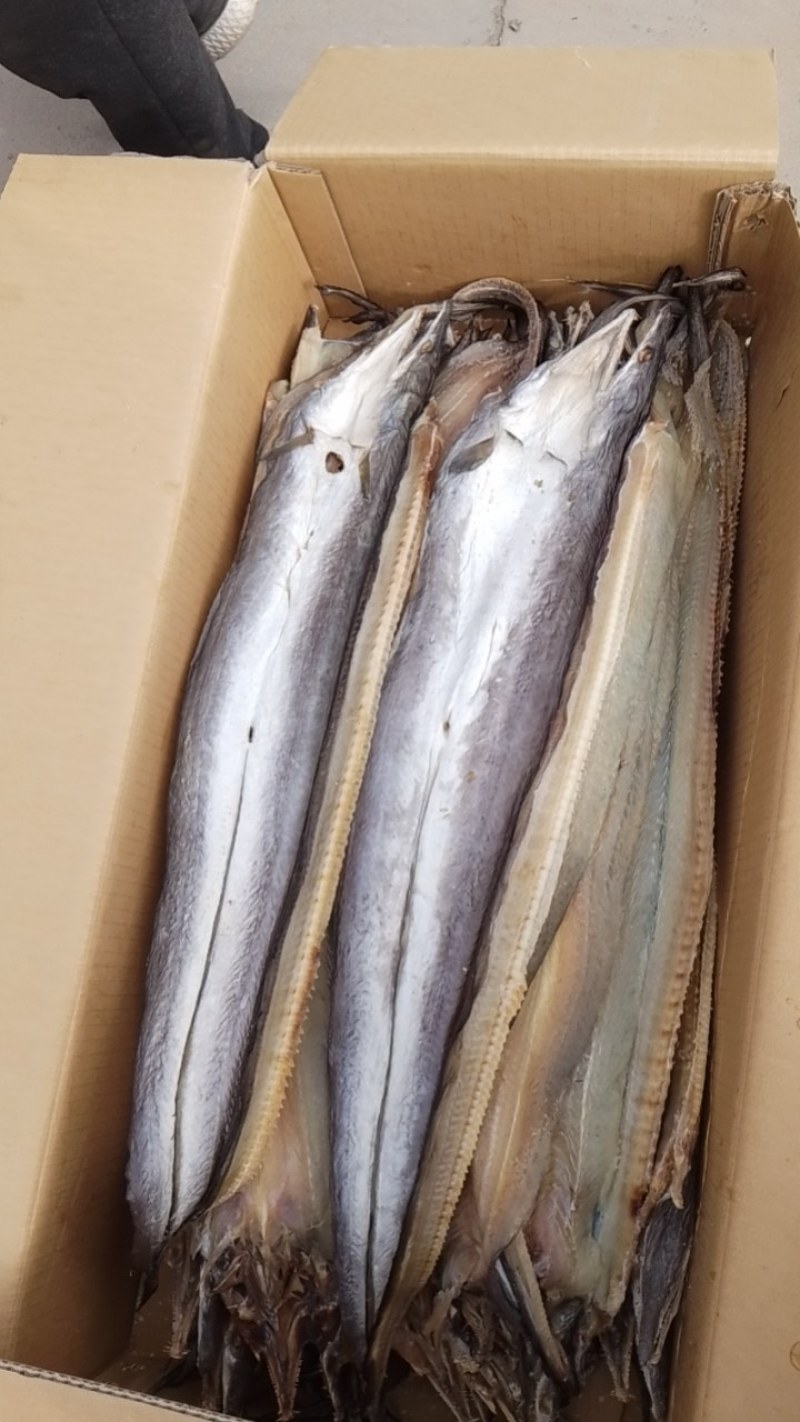 【推荐】鳗鱼干肉质鲜嫩