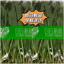 食叶草（蛋白菜）鲜菜，鲜品，榨汁做饮品，面条，馒头，花卷