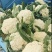 青梗白面花菜，山东郯城产地直发，一手货源，欢迎咨询合作