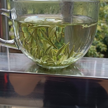 自产自销白茶