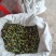 江西新鲜白莲#新鲜草莲产地直供，全国发货，欢迎来电