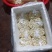 江西新鲜白莲#新鲜草莲产地直供，全国发货，欢迎来电