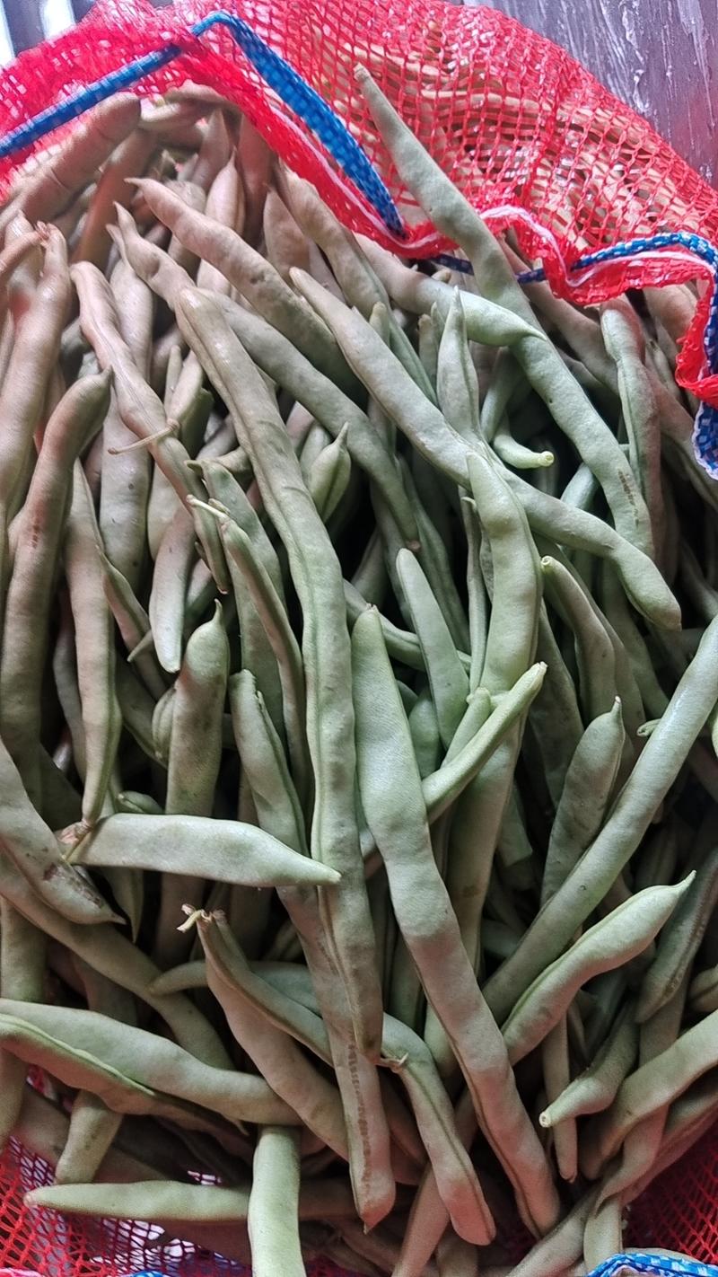 白不老扁豆，无丝豆，小金豆，大量有货，承接社区团购