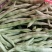 白不老扁豆，无丝豆，小金豆，大量有货，承接社区团购