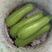 云南西葫芦精品绿皮西葫芦大量上市颜色绿瓜条长