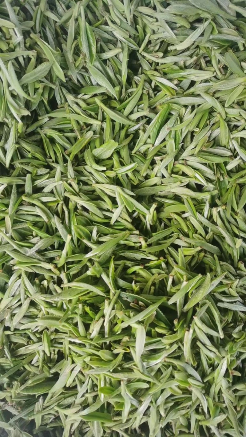 杭州西湖龙井茶