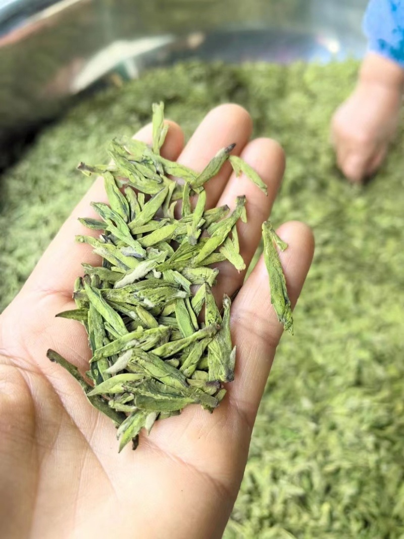 杭州西湖龙井茶