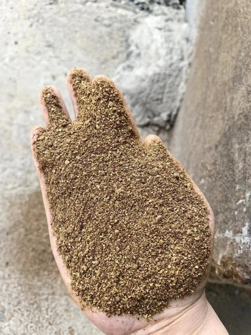 DDGS玉米酒糟蛋白适合水产，牛羊，饲料原料