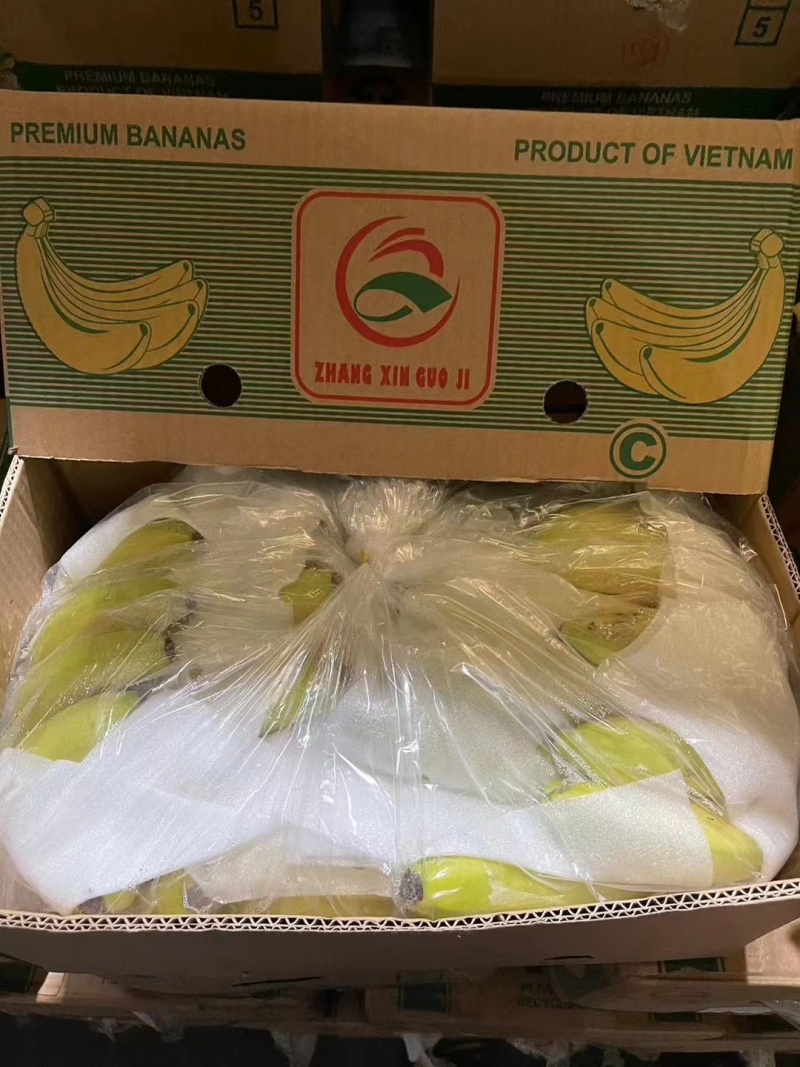 常年供货，菲律宾进口香蕉，规格4—5—6把.保质保量