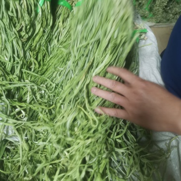 贡菜电商专用
