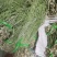 贡菜电商专用