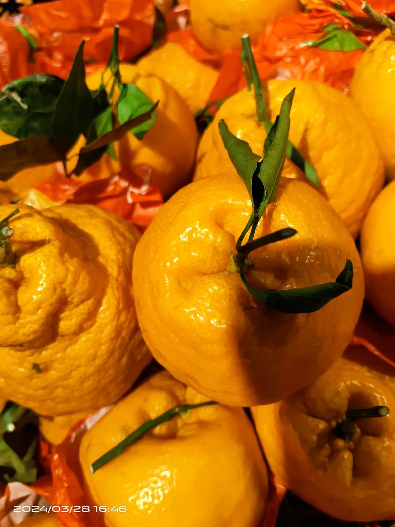 丑橘，粑粑柑，丑八怪一手货源，纯甜多汁诚信合作