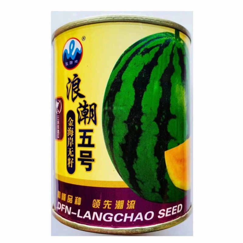 浪潮二号无籽西瓜种子黑皮红瓤去籽种子