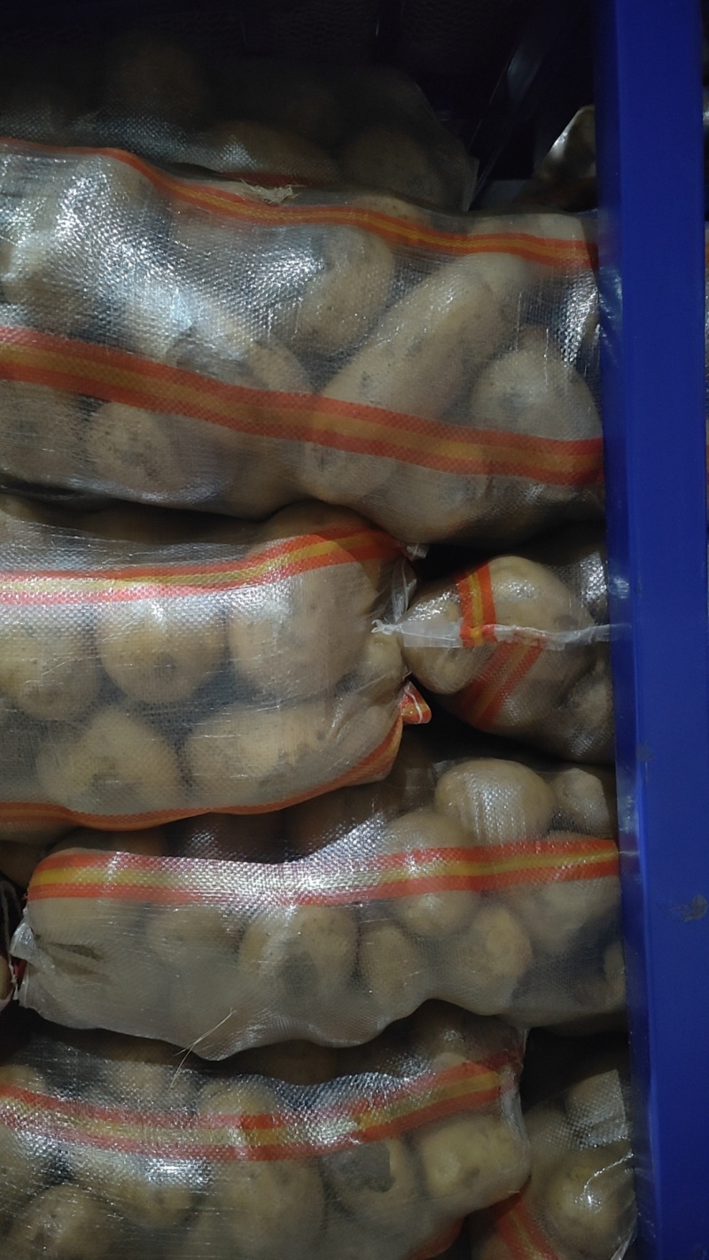 精品土豆无虫眼，无裂口无青头产地直发。电商批发市场