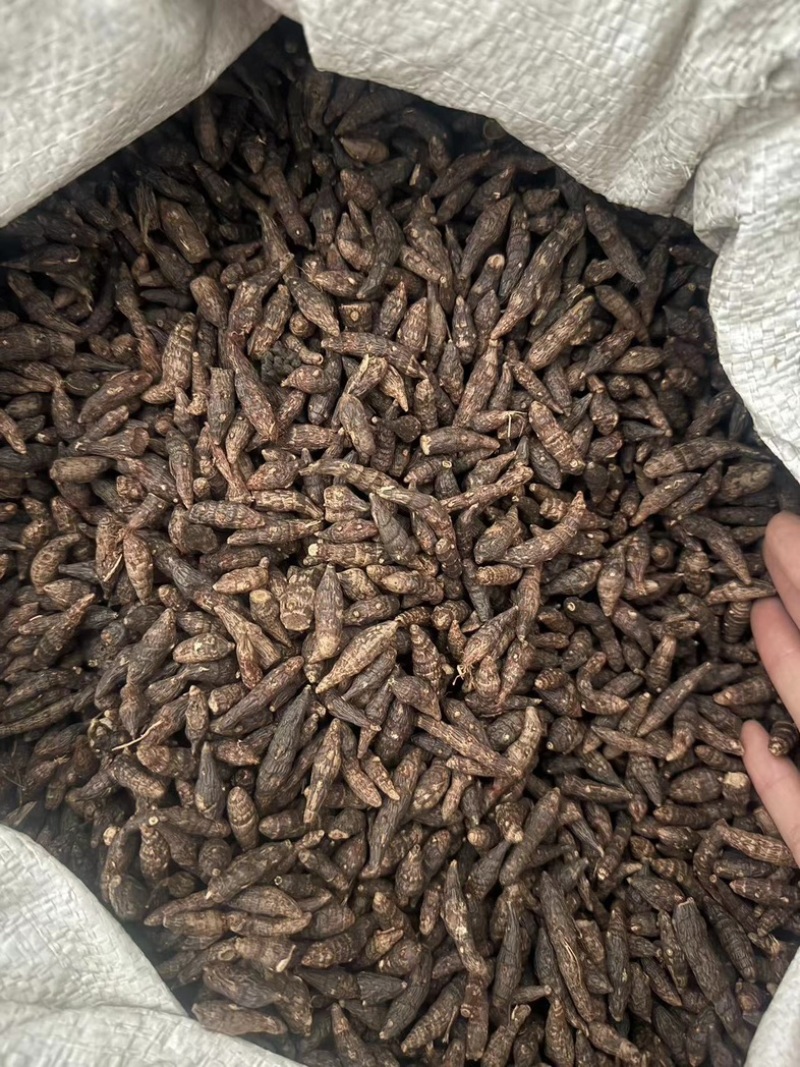 香附香附个香附片制香附片醋香附保庆药业批发香附子