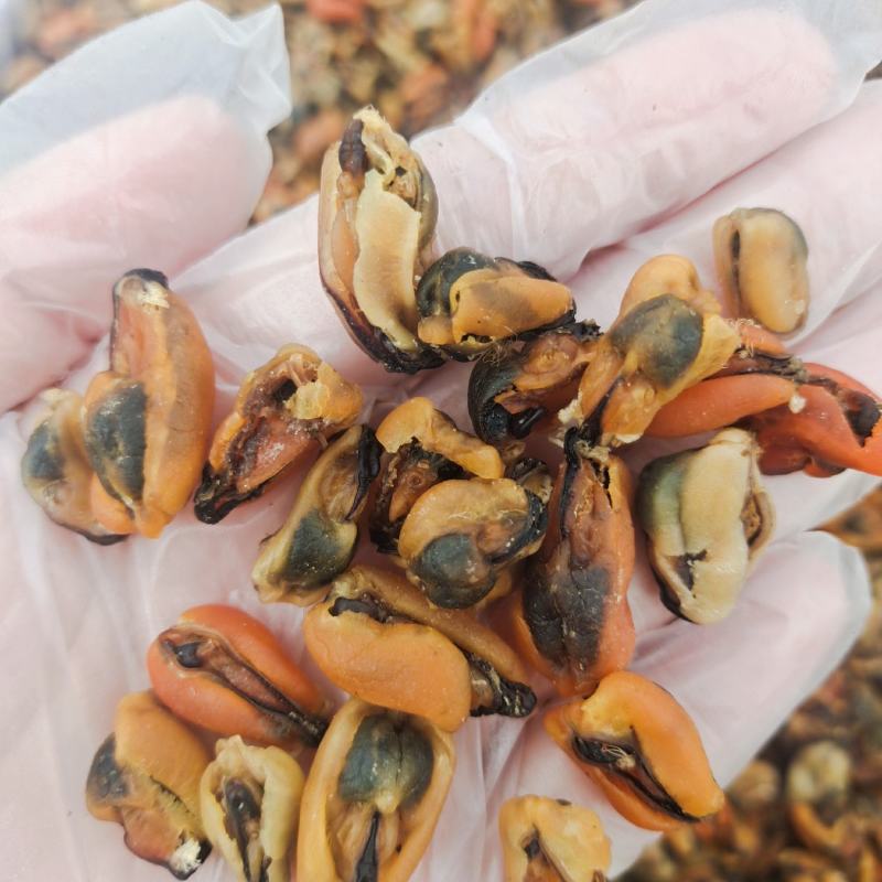 贻贝海虹干淡菜干个头均匀干度好支持一件代发