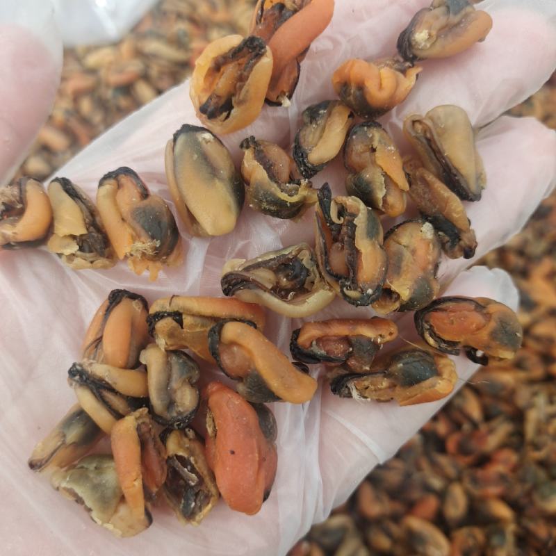 贻贝海虹干淡菜干个头均匀干度好支持一件代发