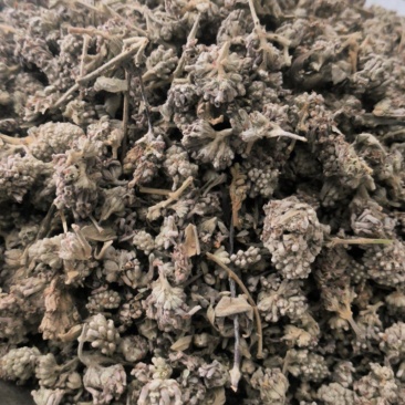 密蒙花中药材批发密蒙花质量保证量大从优