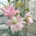 重瓣百合花球