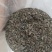 广东精品野生藤茶，价格真实，品质保证规格齐全