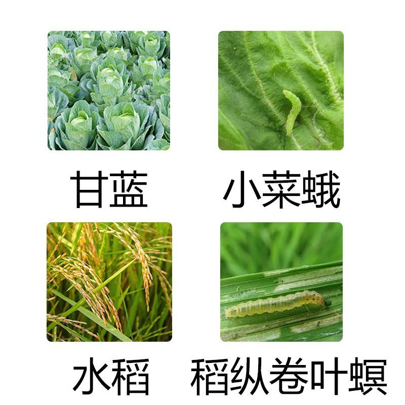 海纳奇赢5%甲维盐甲氨基阿维菌素稻纵卷叶螟小菜蛾正品杀虫