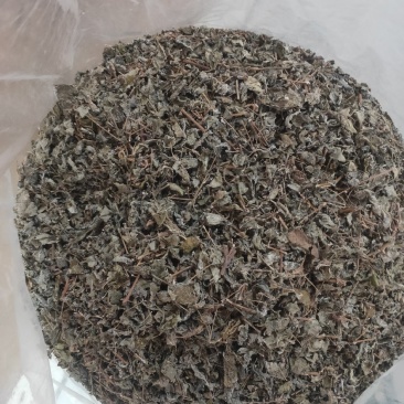 广东精品野生藤茶，价格真实，品质保证规格齐全