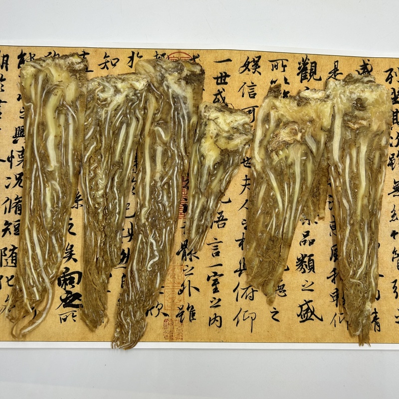 甘肃当归当归片佛手当归压片当归无硫散装选货支持拿样品批发