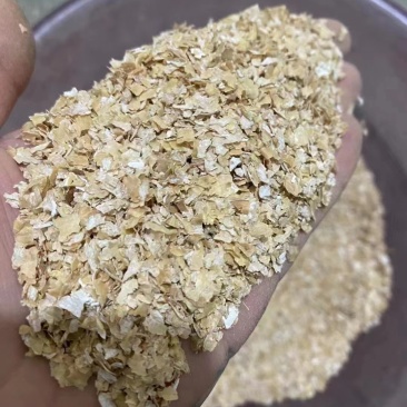 烘干大片麸皮