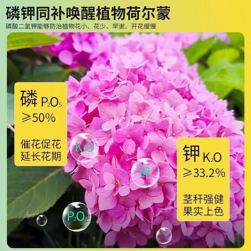 磷酸二氢钾99%保花保果全水溶抗冻抗逆