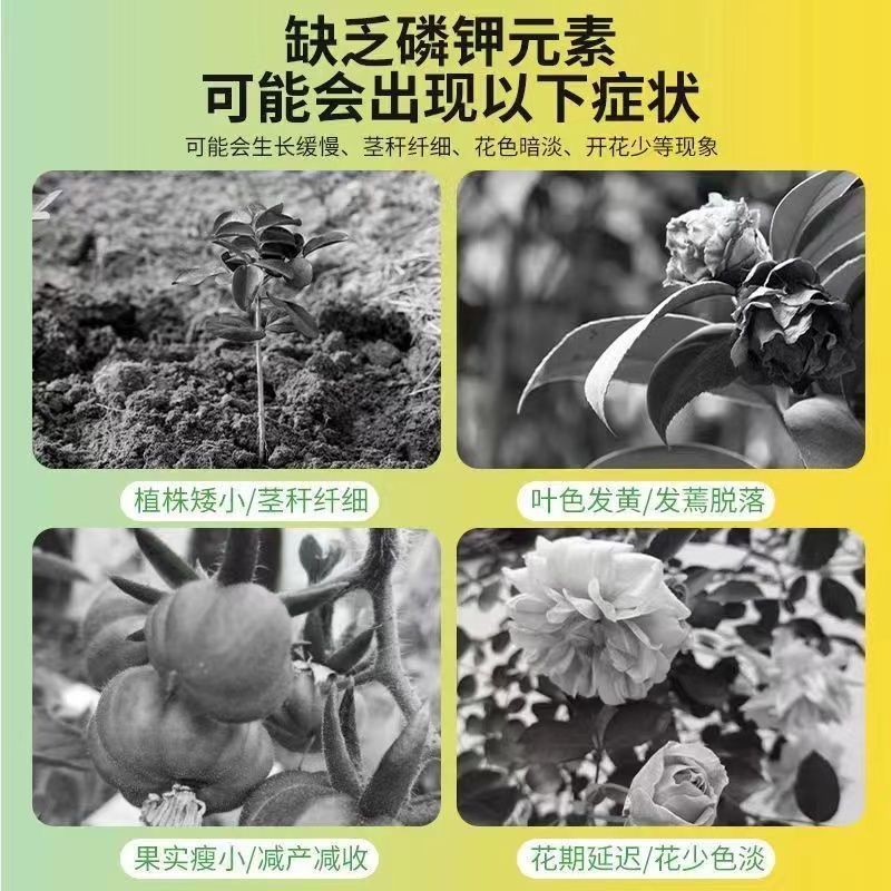 磷酸二氢钾99%保花保果全水溶抗冻抗逆