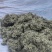 艾绒（自己加工全野生。有陈年艾叶，也有当年艾，也有艾绒）