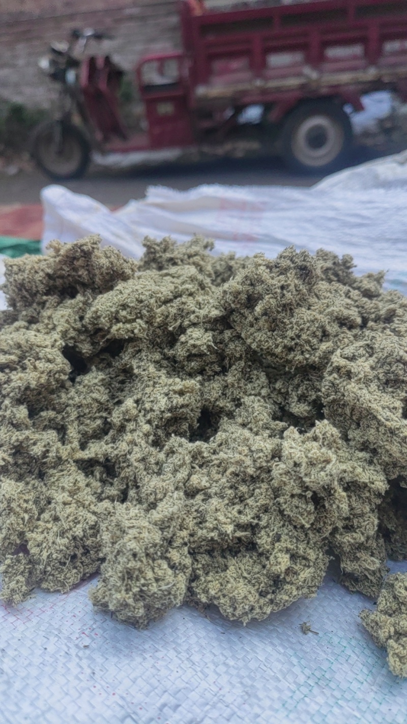 艾绒（自己加工全野生。有陈年艾叶，也有当年艾，也有艾绒）