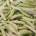 大白豌豆荚，现货