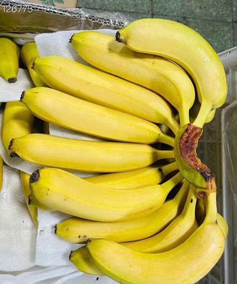 精品二黄蕉，品质就这品质，保质保量，品质嘎嘎硬，色泽金黄