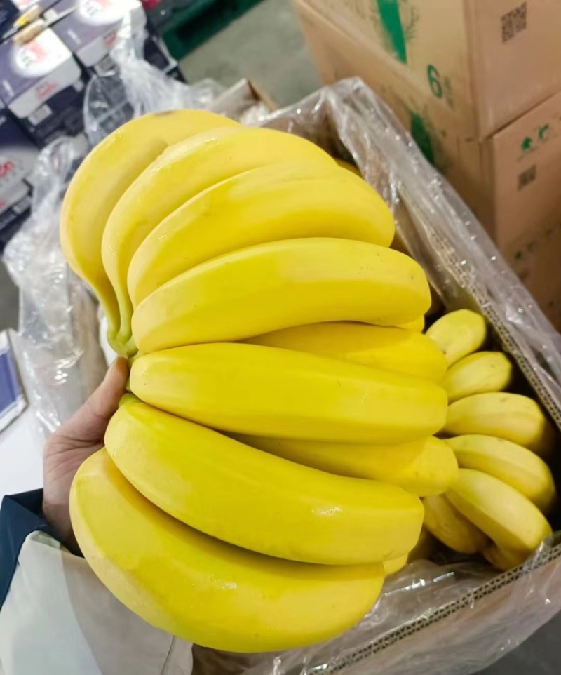 精品二黄蕉，品质就这品质，保质保量，品质嘎嘎硬，色泽金黄