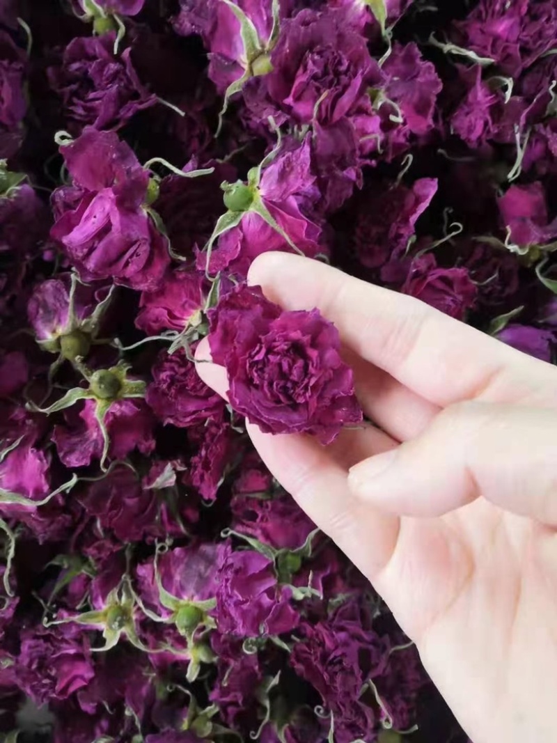 平阴玫瑰干花冠茶260克玫瑰花茶花冠新鲜玫瑰干花泡茶
