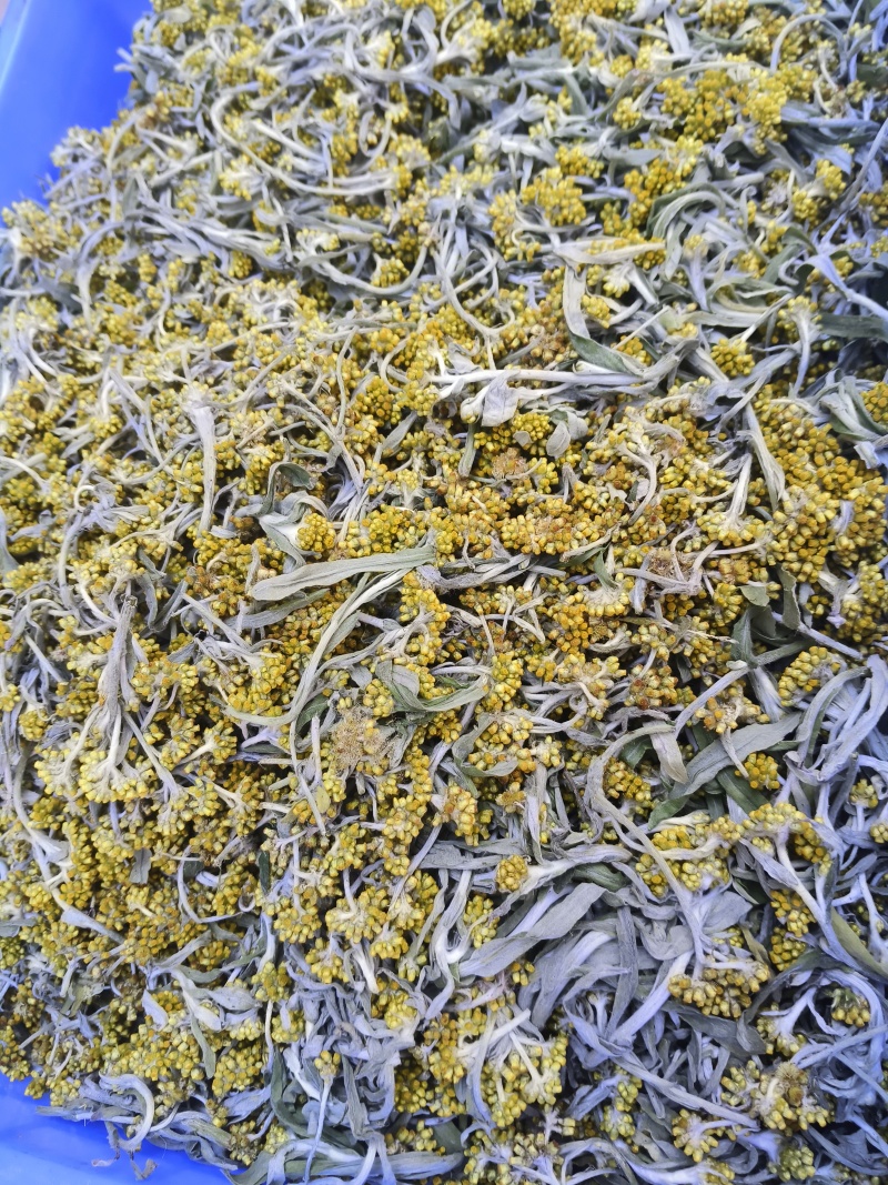 水蜜花，鼠曲草，