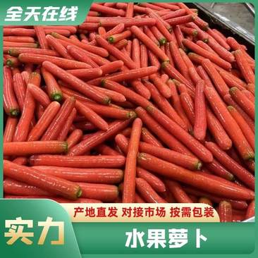 【全年供货】陕西大荔红萝卜水果萝卜秤杆红萝卜全国发货
