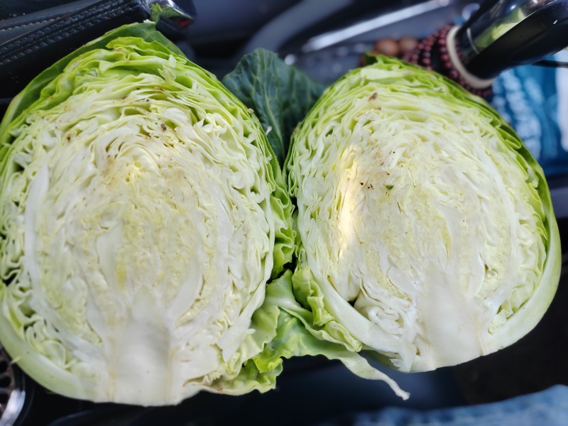 甘蓝包菜