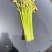青蕨有货