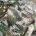 裤子迷彩裤工地装农活装训练服