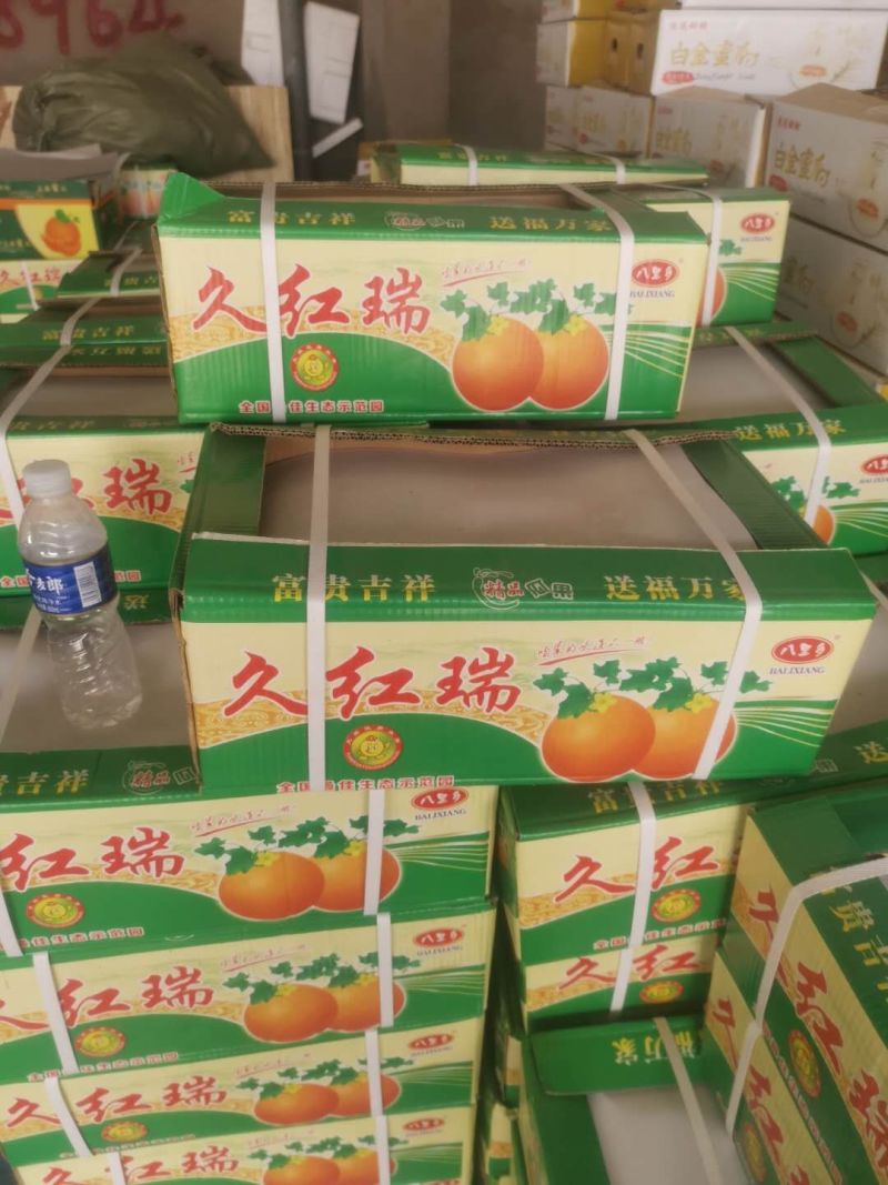 河南滑县久红瑞甜瓜，供应各大批发市场以及商超和电商平台