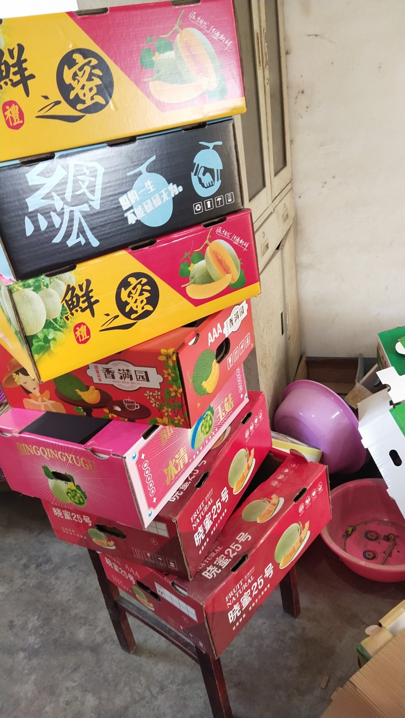 河南滑县久红瑞甜瓜，供应各大批发市场以及商超和电商平台