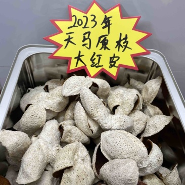 批发正宗新会陈皮，2023年大红皮，天马产区原枝！