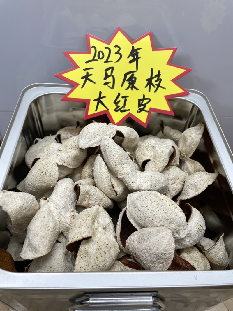 批发正宗新会陈皮，2023年大红皮，天马产区原枝！
