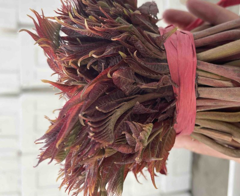 二茬香椿芽产地直销代销，量大从优，欢迎前来