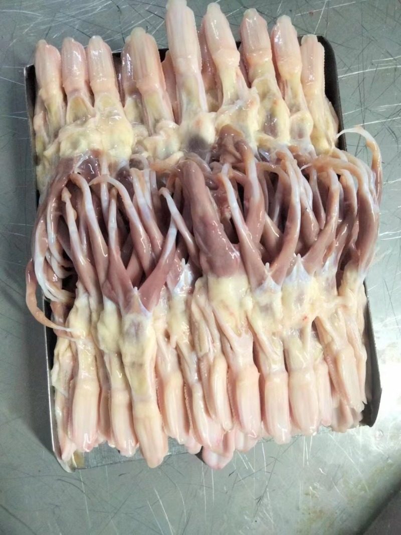 鸭舌冻品各种规格全国发货全国物流冷链配送
